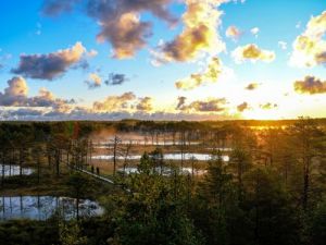 Estland - Lahemaa Nationalpark
