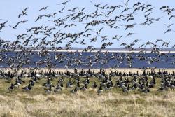 Naturparadies Estland