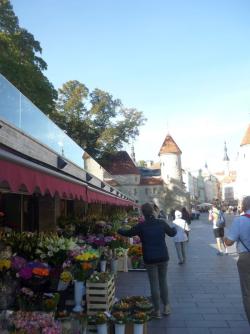 Tallinn - Viru-Tor