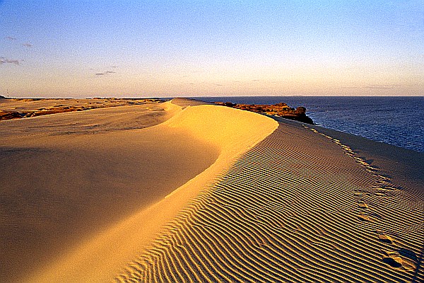 Kurische Nehrung