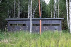 Braunbärbeobachtung in Estland - Classic hide