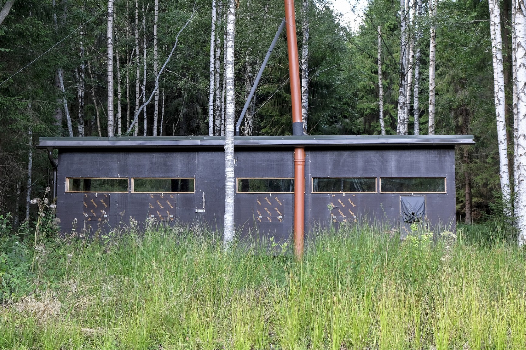 Braunbärbeobachtung in Estland - Classic hide