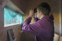 Braunbärbeobachtung in Estland - Classic hide