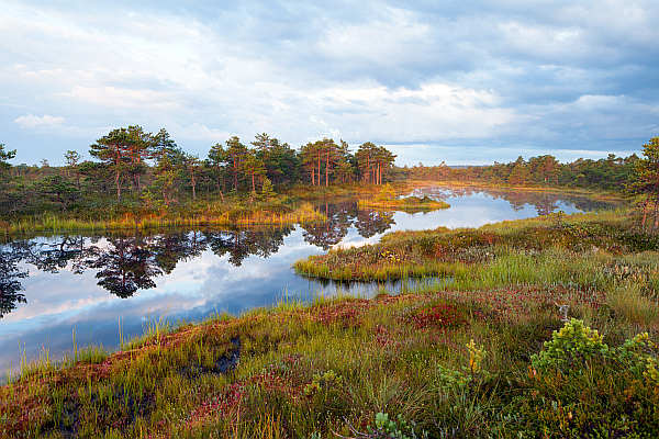 Estlands Natur entdecken - Naturerlebnisreise Wildes Baltikum
