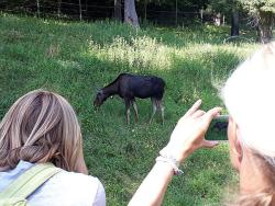 Familienreise nach Lettland und Estland - Naturerlebnisse im Baltikum für Familien mit Teenagern