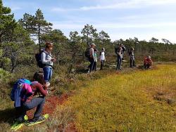 Familienreise nach Estland - Bären, Elche und Abenteuer