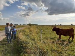Familenreise nach Estland - Bären, Elche & Abenteuer