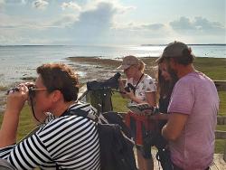 Familenreise nach Estland - Bären, Elche & Abenteuer