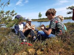 Familienreise nach Estland - Abenteuer und Naturerlebnis