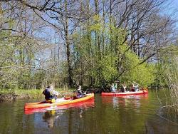 Familenreise nach Estland - Bären, Elche & Abenteuer