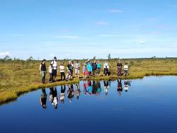 Familenreise nach Estland - Bären, Elche & Abenteuer