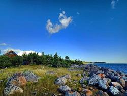 Familenreise nach Estland - Bären, Elche & Abenteuer