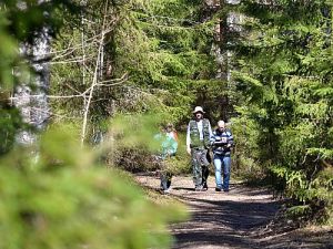 Smart-guided individuelle Naturerlebnisreise in Estland