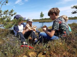 Familienreise nach Estland - Abenteuer und Naturerlebnis