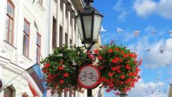 Tartu