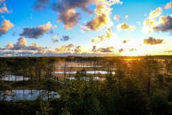 Estland - Lahemaa Nationalpark