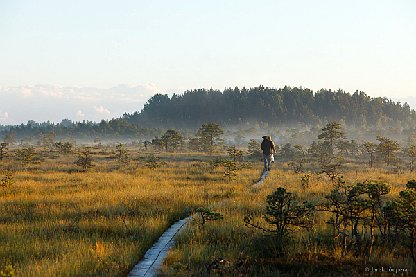 Smart-guidet individuelle Naturerlebnisreise in Estland