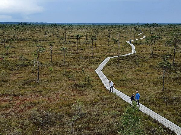 Smart-guidet individuelle Naturerlebnisreise in Estland