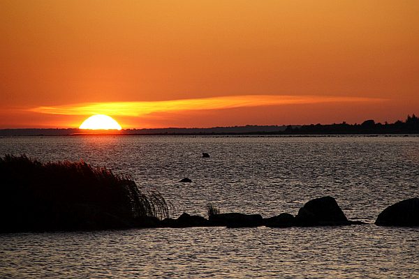 Smart-guidet individuelle Naturerlebnisreise in Estland