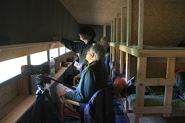 Smart-guidet individuelle Naturerlebnisreise in Estland