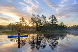 Estlands Natur entdecken