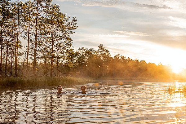 Estonian Wildnest Resorts