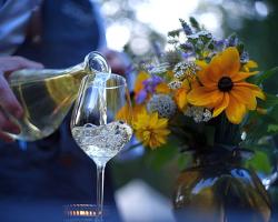 fine dining in der Wildnis