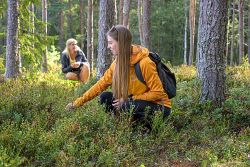 Naturerlebnis Estland - Estonian Wildnest Resorts