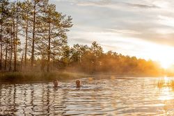 Naturerlebnis Estland - Estonian Wildnest Resorts