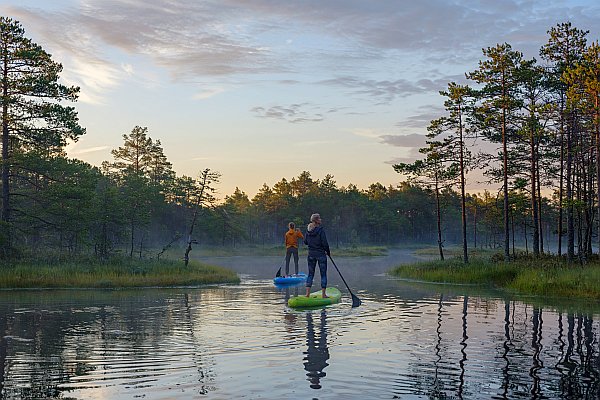 Estonian Wildnest Resorts