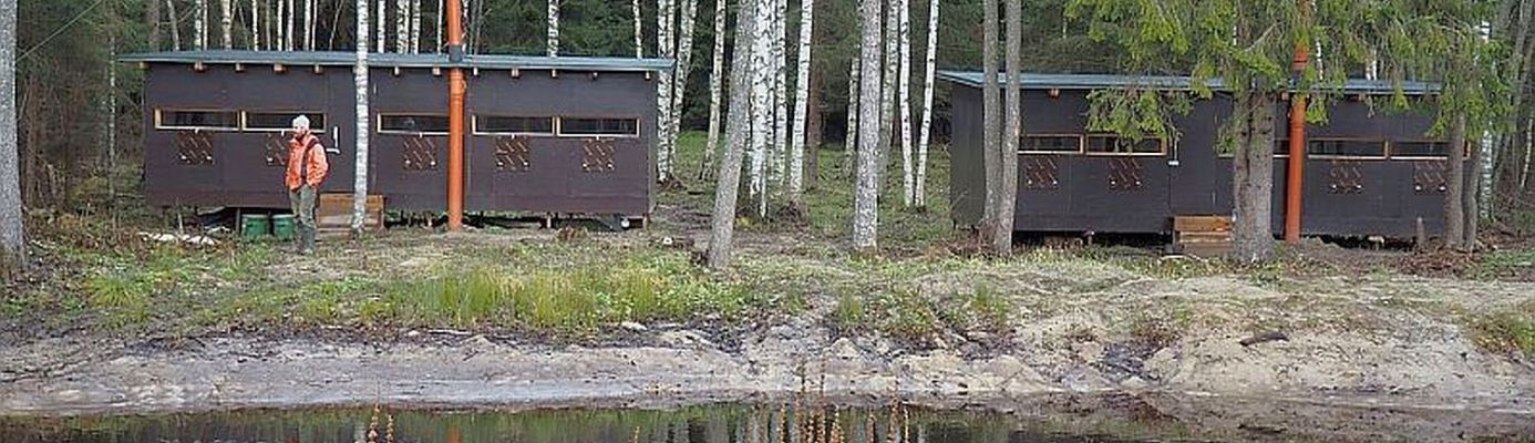 Braunbär - Beobachtung in Estland: Erlebnis Bären - Hütte