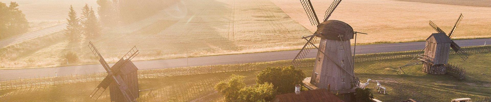 Saaremaa - Windmühlen bei Angla
