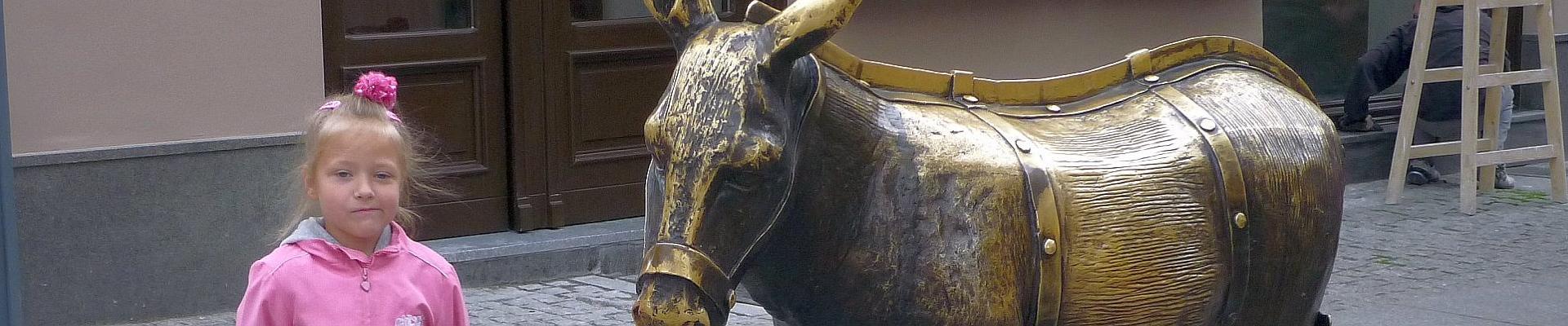 Der Esel in Thorn