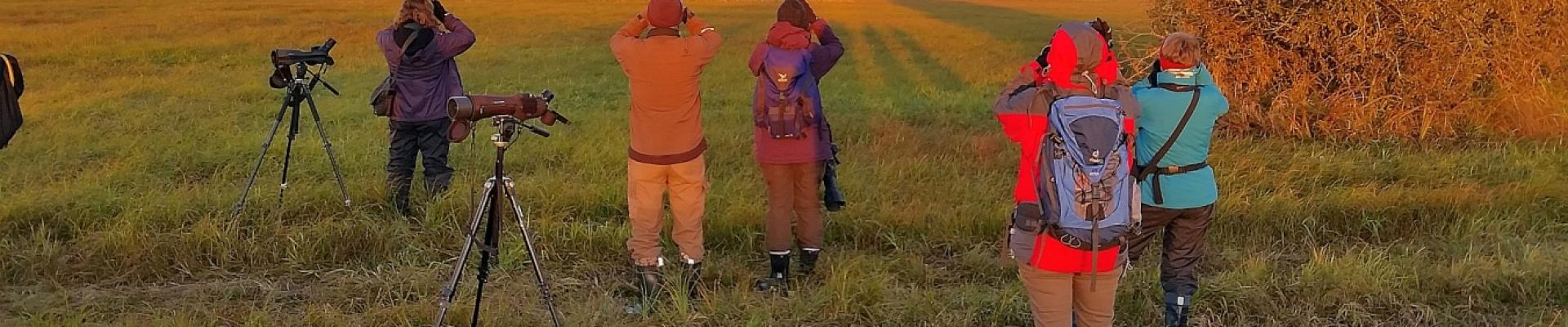 Moorwanderung - Naturreise Wildes Baltikum