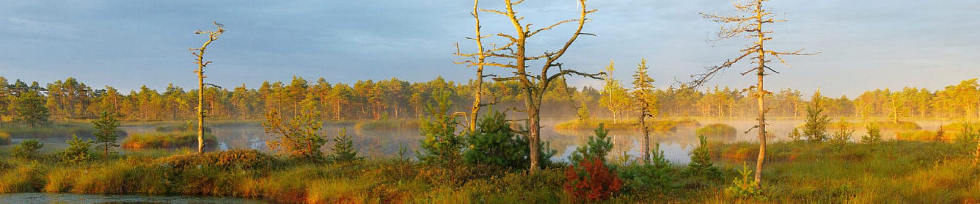 Wandern im Baltikum - smart-guided Individualreise