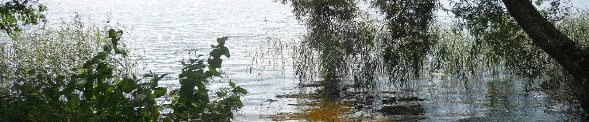 Rominter Heide - Marinowo See