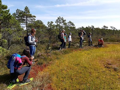 Familienreise nach Estland - Bären, Elche und Abenteuer