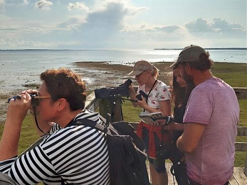 Familenreise nach Estland - Bären, Elche & Abenteuer