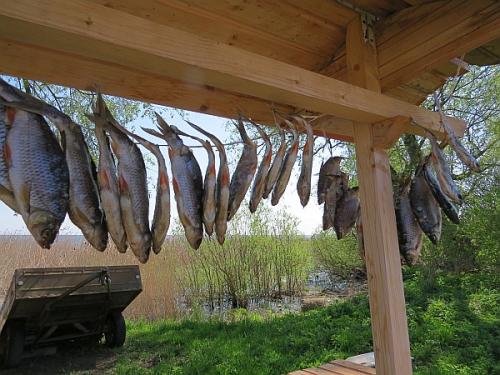 Fischerdörfer am Peipussee