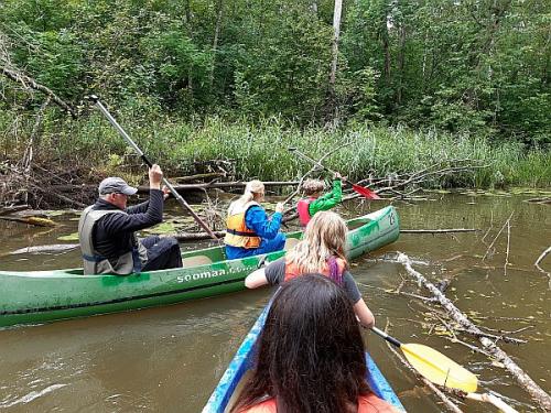 Familenreise nach Estland - Bären, Elche & Abenteuer
