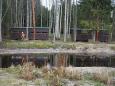 Braunbär - Beobachtung in Estland: Erlebnis Bären - Hütte