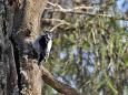 Smart-guided individuelle Naturerlebnisreise in Estland