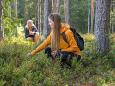Naturerlebnis Estland - Estonian Wildnest Resorts