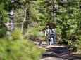 Smart-guided individuelle Naturerlebnisreise in Estland