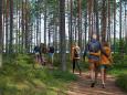 Natur Erlebnis Reise nach Estland