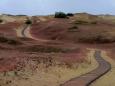 Wandern im Baltikum - smart-guided Individualreise