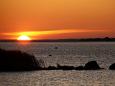 Smart-guided individuelle Naturerlebnisreise in Estland