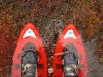 Aktiv - Reise Inseln & Nationalparks Estlands