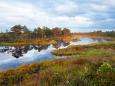 Natur - Erlebnis - Reise in Estland