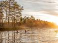 Naturerlebnis Estland - Estonian Wildnest Resorts